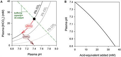 Cardiac Complications of Propionic and Other Inherited Organic Acidemias